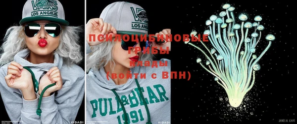 дурь Белокуриха